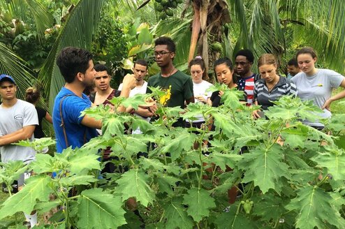 Costa Rica: Biodiversity, Ecology & Sustainability Costa Rica: Biodiversity, Ecology & Sustainability